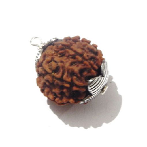 Seven Mukhi Nepali Rudraksha