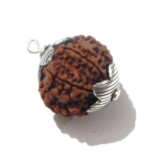 Seven Mukhi Nepali Rudraksha