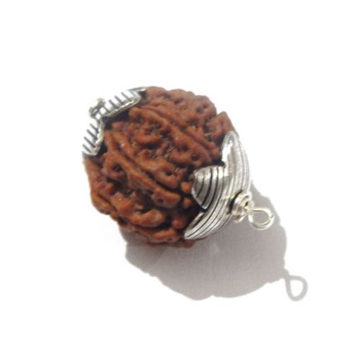 Seven Mukhi Nepali Rudraksha