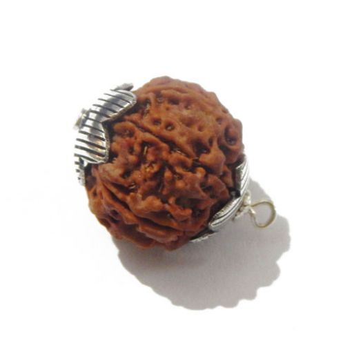 Seven Mukhi Nepali Rudraksha