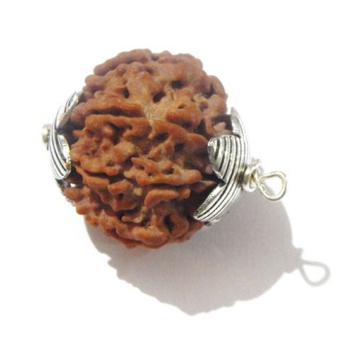 Seven Mukhi Nepali Rudraksha